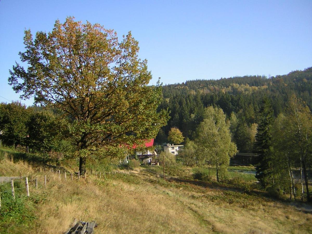 Pokoje Goscinne Angelika Wisła Exterior foto